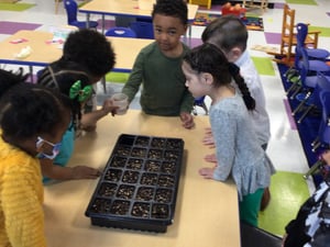 Preschool Planting 1